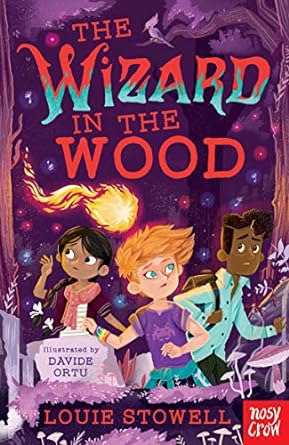 Cover of The Wizard in the Wood by Louie Stowell