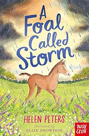 Cover of A Foal Called Storm by Helen Peters