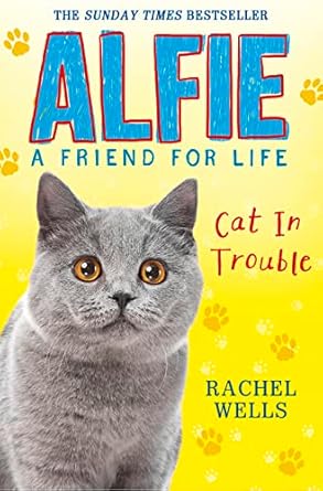Cover of Alfie Cat in Trouble by Rachel Wells