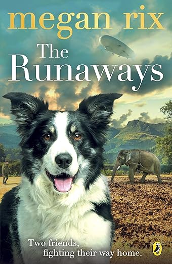 Cover of Runaways by Megan Rix