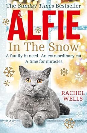Cover of Alfie in the Snow by Rachel Wells