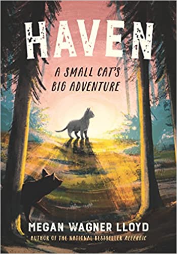 Cover of Haven by Megan Wagner Lloyd