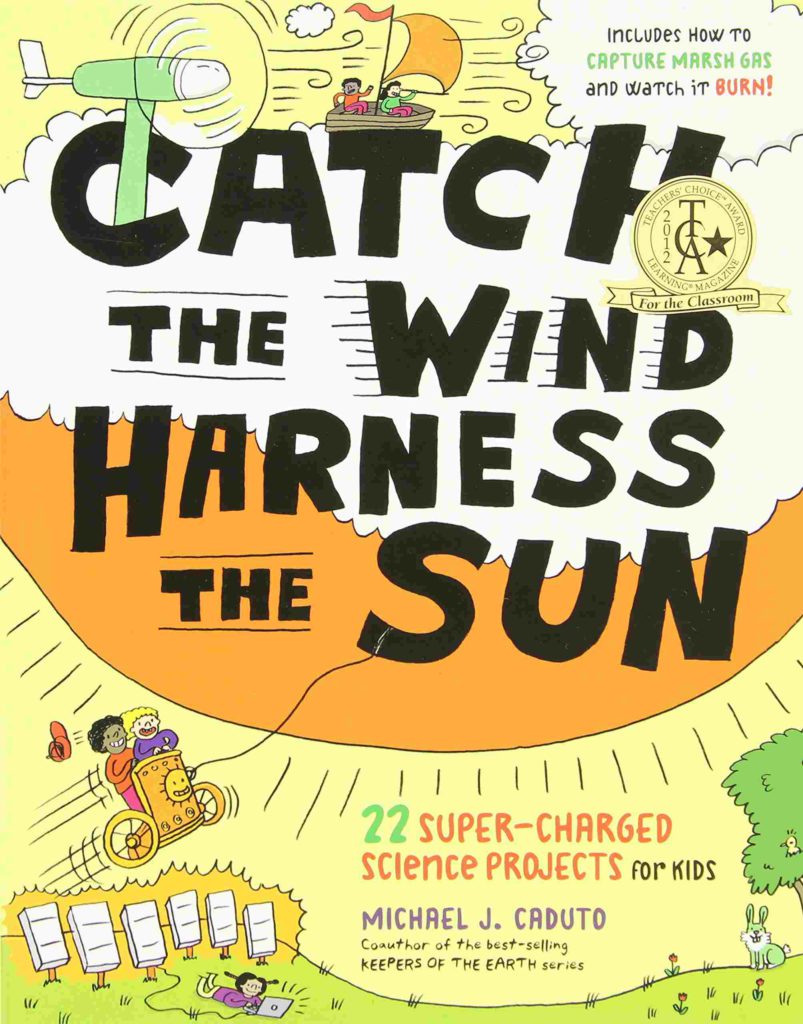 Cover of Catch the Wind