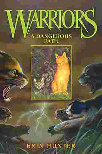 Cover of Warriors 5 - A Dangerous Path by Erin Hunter