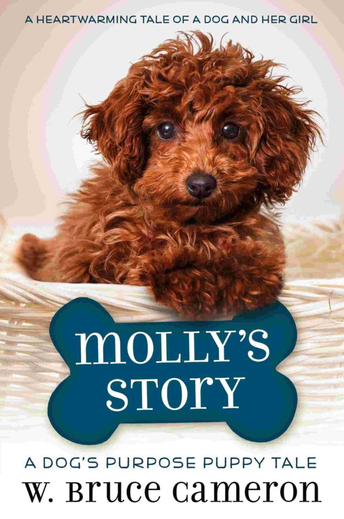 Cover of A Dog's Purpose Puppy Tale 5 - Molly's Story by W. Bruce Cameron