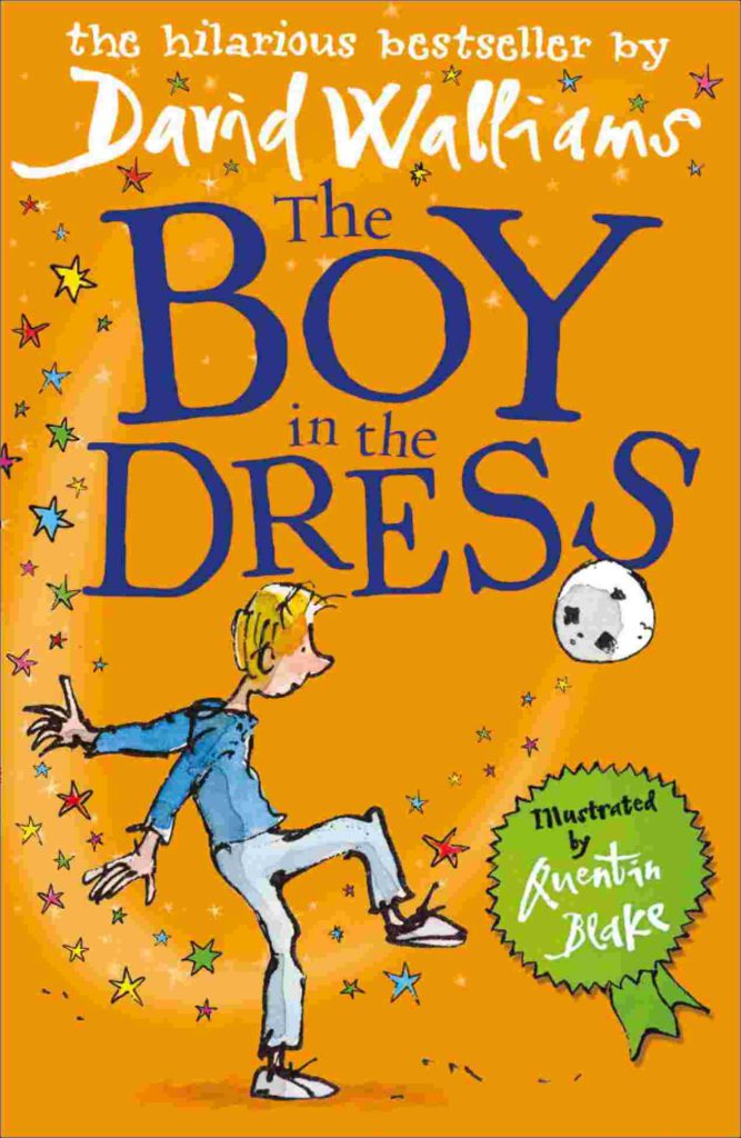 Cover of Boy in the dress by David Walliams