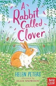 Cover of A Rabbit Called Clover