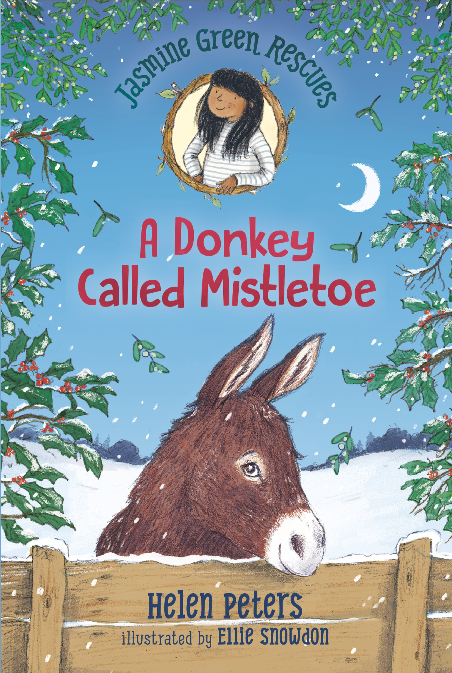 Cover of A Donkey Called Mistletoe