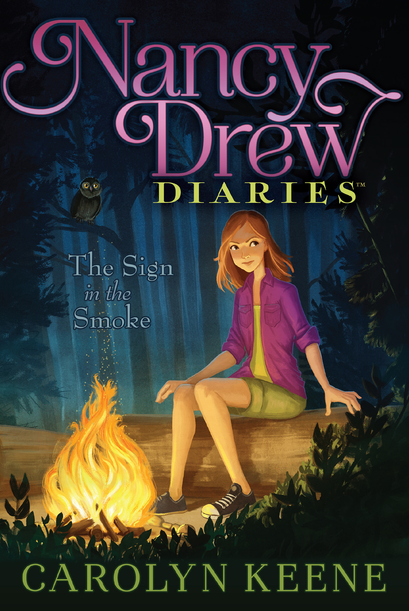 Cover of Nancy Drew Diaries 12 – The Sign in the Smoke