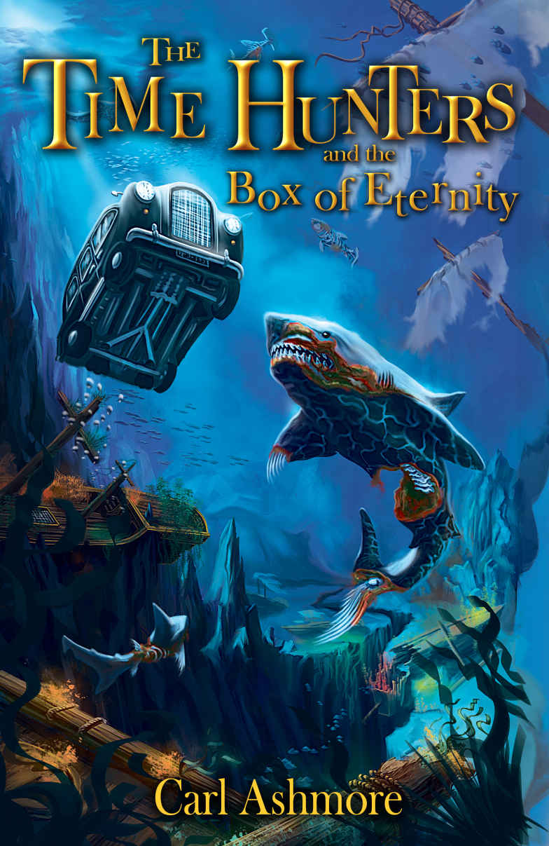 Cover of The Time Hunters and the Box of Eternity