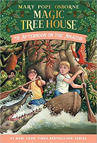 Afternoon on the Amazon Front Cover