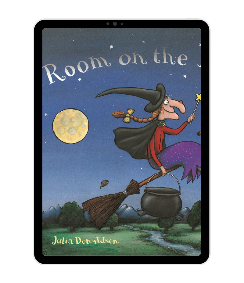 Room on the Broom by Julia Donaldson book cover