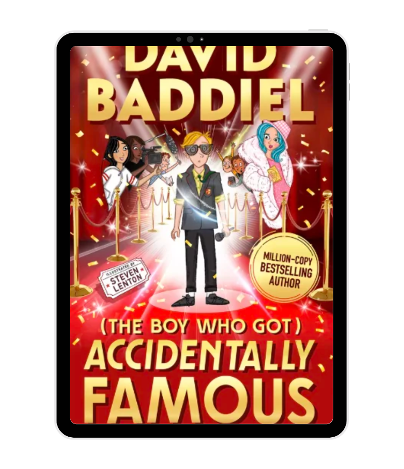 The Boy Who Got Accidentally Famous by David Baddiel book cover