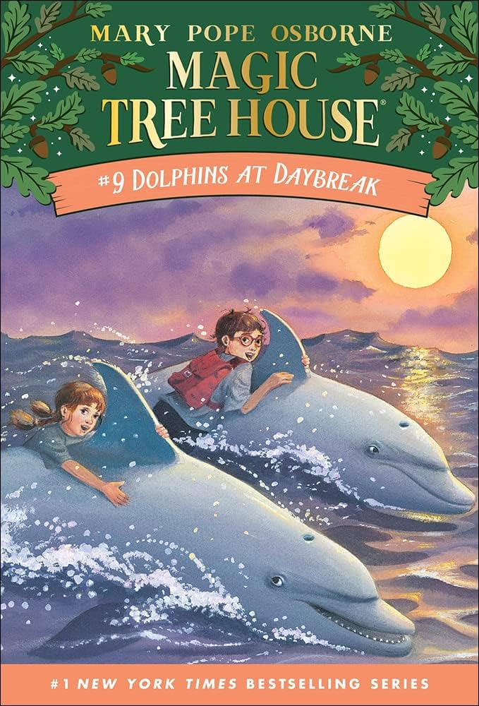 Dolphins at Daybreak Front Cover